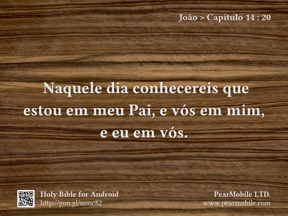 João, Capítulo 14:20